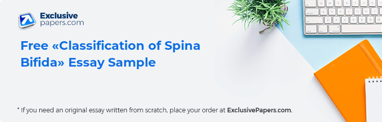 Free «Classification of Spina Bifida» Essay Sample