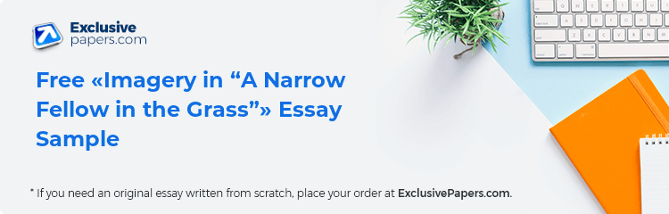 Free «Imagery in “A Narrow Fellow in the Grass”» Essay Sample