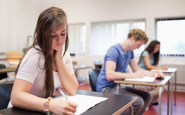 Free argumentative essays picture